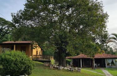 Sítio há 10 mim da Rota do Vinho - Foto 53