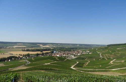 les galipes - Foto 16