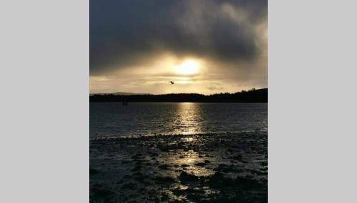 17 William Street - Foto 3