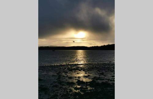 17 William Street - Foto 3