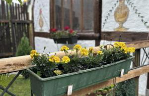 Peter´s Ferienwohnung - Foto 22