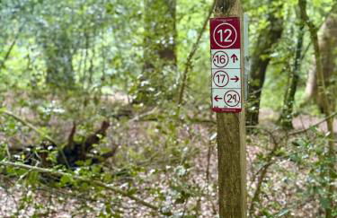 Ferienhaus Neeborg - Foto 25