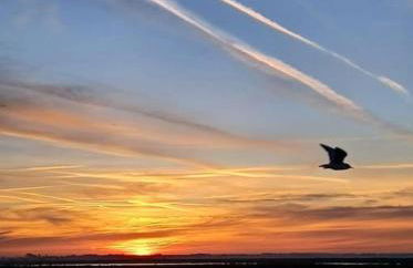 Les pieds dans l'eau... au chaud !!! - Foto 33