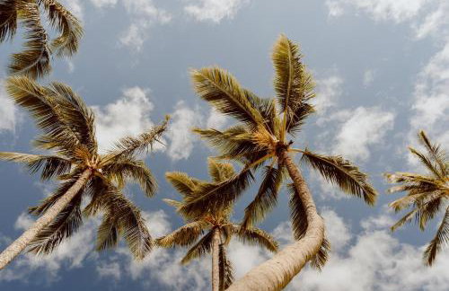 Banyan Harbor Resort - Foto 139