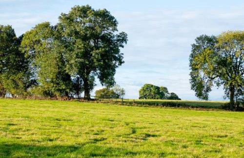 Frith Green - Foto 50