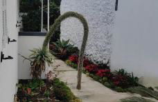 Casa da Avó Biza - Photo 20