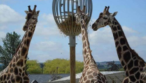 Little hideaway in the countryside Ash - Foto 4