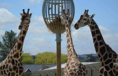 Little hideaway in the countryside Ash - Foto 4