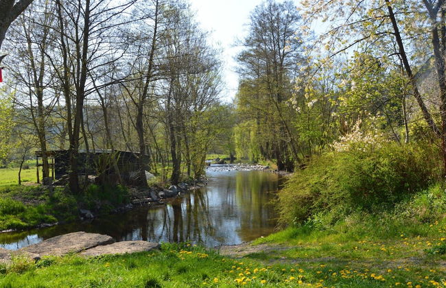 Holiday Home in Houyet With Sauna & Garden - Foto 19