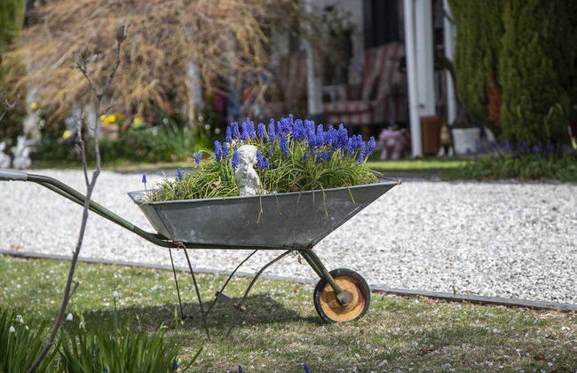 Settlers Cottage Motel - Foto 46