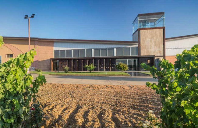 Visita à adega Gordonzello - Foto 1