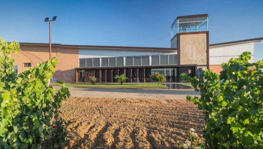 Visita a la bodega Gordonzello