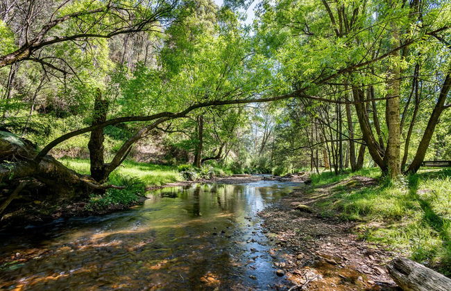 Avalon House - Foto 54