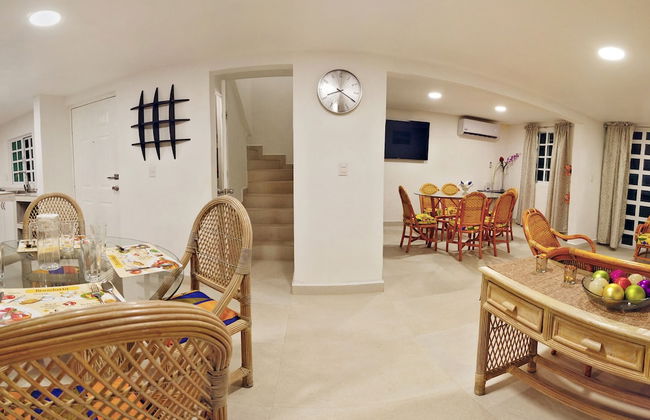 HominngBird - Foto 66