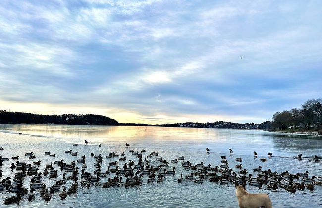 Edsviken Hotell AB - Photo 31