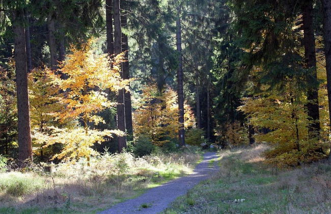 Ferienwohnung mit Sauna in Schonbrunn Thuringen - Photo 25