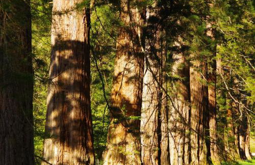 Ard Darach Lodge - Foto 10