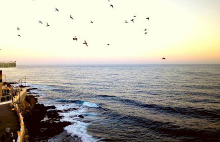 Salinetas Terraza Playa - Foto 21