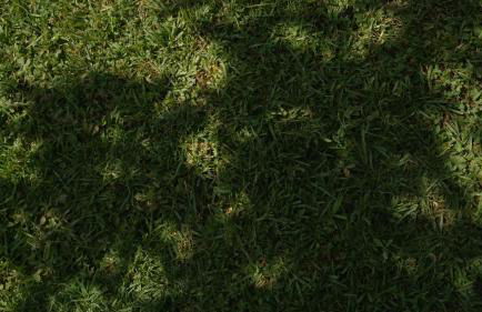 Domaine du Piol - Luberon - Piscine privée - Clim - Beach Volley - Foto 76