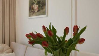 Apartament w centrum miasta- Central Park - Foto 5
