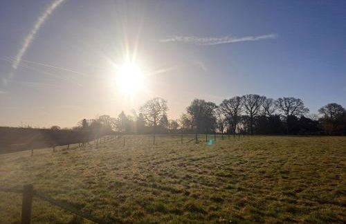 Luxury Shepherds Hut set in a countryside setting - Foto 8