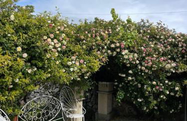 Quinta Santo Antonio do Rio - Foto 31