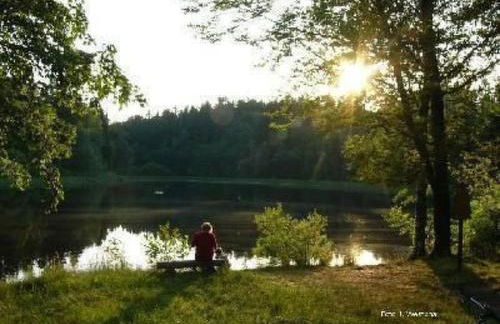 Holiday Home in Breitenstein mit Grill und Garten by Interhome - Foto 29