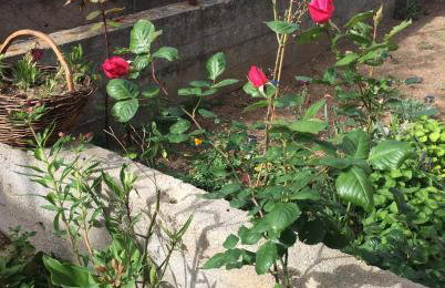 Kaleta apartman - Foto 59