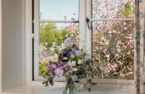 Tranquil 2 bed cottage Sidmouth, rural escape - Foto 7