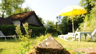 Apartment-Haus Gundelfinger - Foto 3, Garden