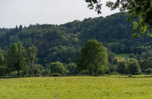 Glanrhyd cottage - Foto 41