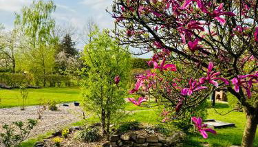 Ferienwohnungen Maedchen - Foto 2, Garden view