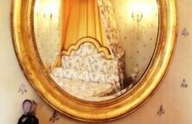 Château de Brou - Foto 17