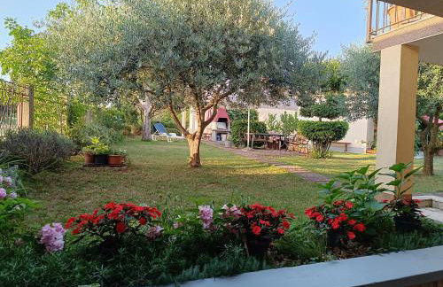 Apartment Dado - Foto 14