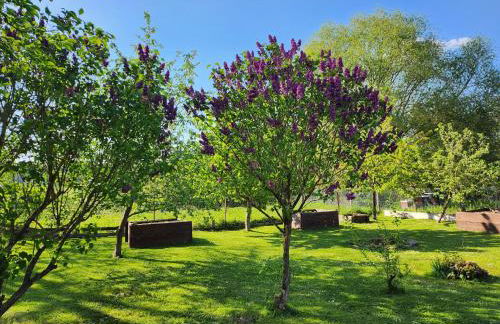 Ferienhaus Naturpur Chorin - Foto 34