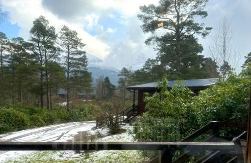 Equinox Cabin - Photo 16