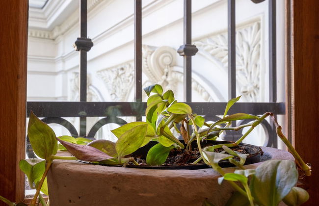 H&B apartments Atoneli - Foto 42