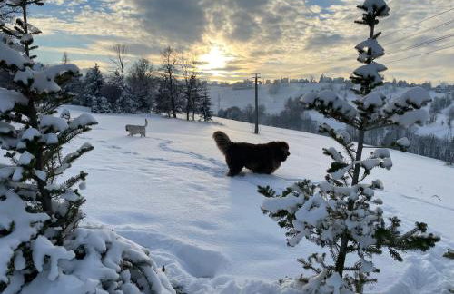 Apartament Kierunek Tatry - Foto 27