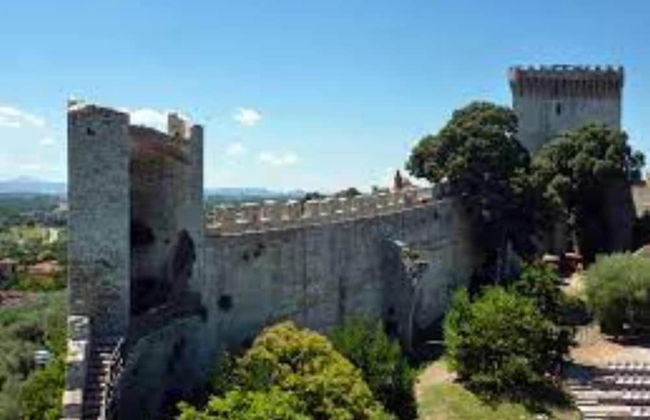 Myrtle apt With Shared Pool - Foto 17