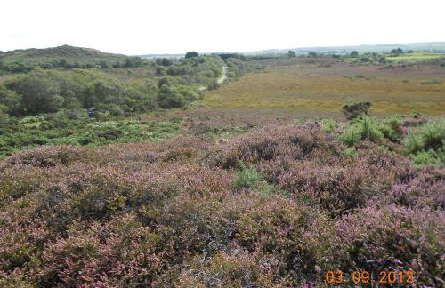 Nutley Farm - Foto 48