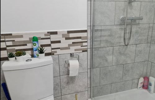 Cosy studio with kitchenette and private bathroom - 15mins to Central London! - Foto 46