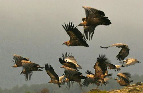 Via Fera, con vistas a la naturaleza - Foto 22