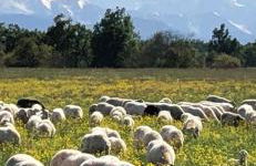 ElleCi Casa Vacanze - Photo 72