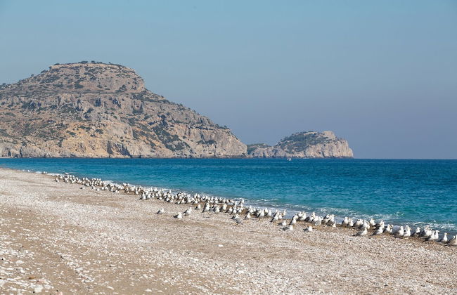 House of Paradise in front of the golf court-sea - Foto 30