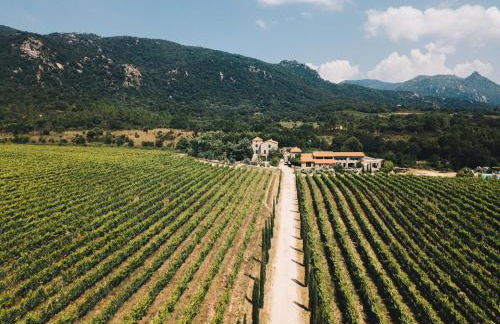 La tonnelerie, belle villa pour 9 personnes au coeur d'un vignoble avec piscine - Foto 12