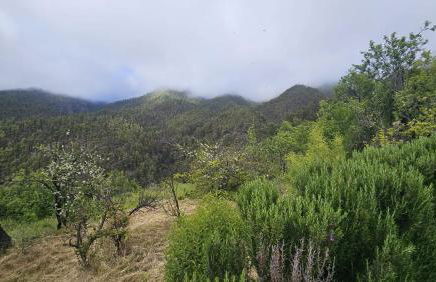 CASA CRUZ EL LLANO - Foto 22