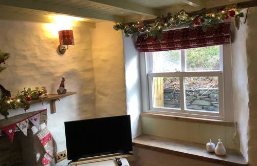 Penrallt-Fach Traditional Welsh cottage Pembrokeshire - Foto 22