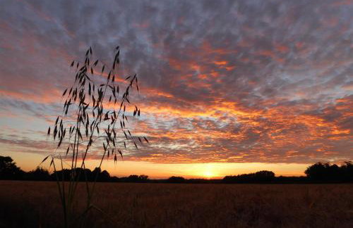 Mollett's Farm - Foto 32