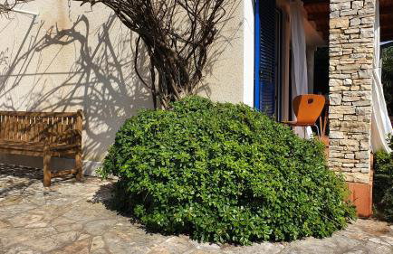 Mediterranean Beach House - Foto 54