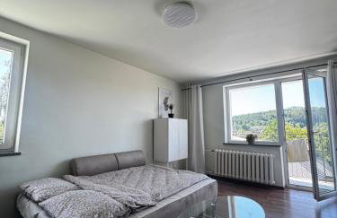 Apartament Chełmiec przy Szczawnie-Zdrój - Foto 8